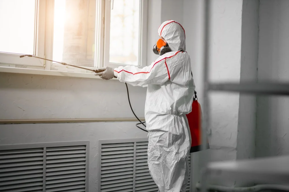 Professional mold remediation services in Crompond, NY